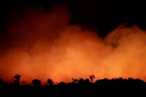 Incendio Amazonas